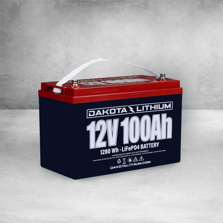 within along Rely on 12v 100Ah Deep Cycle LiFePO4 Battery | Dakota Lithium Battery