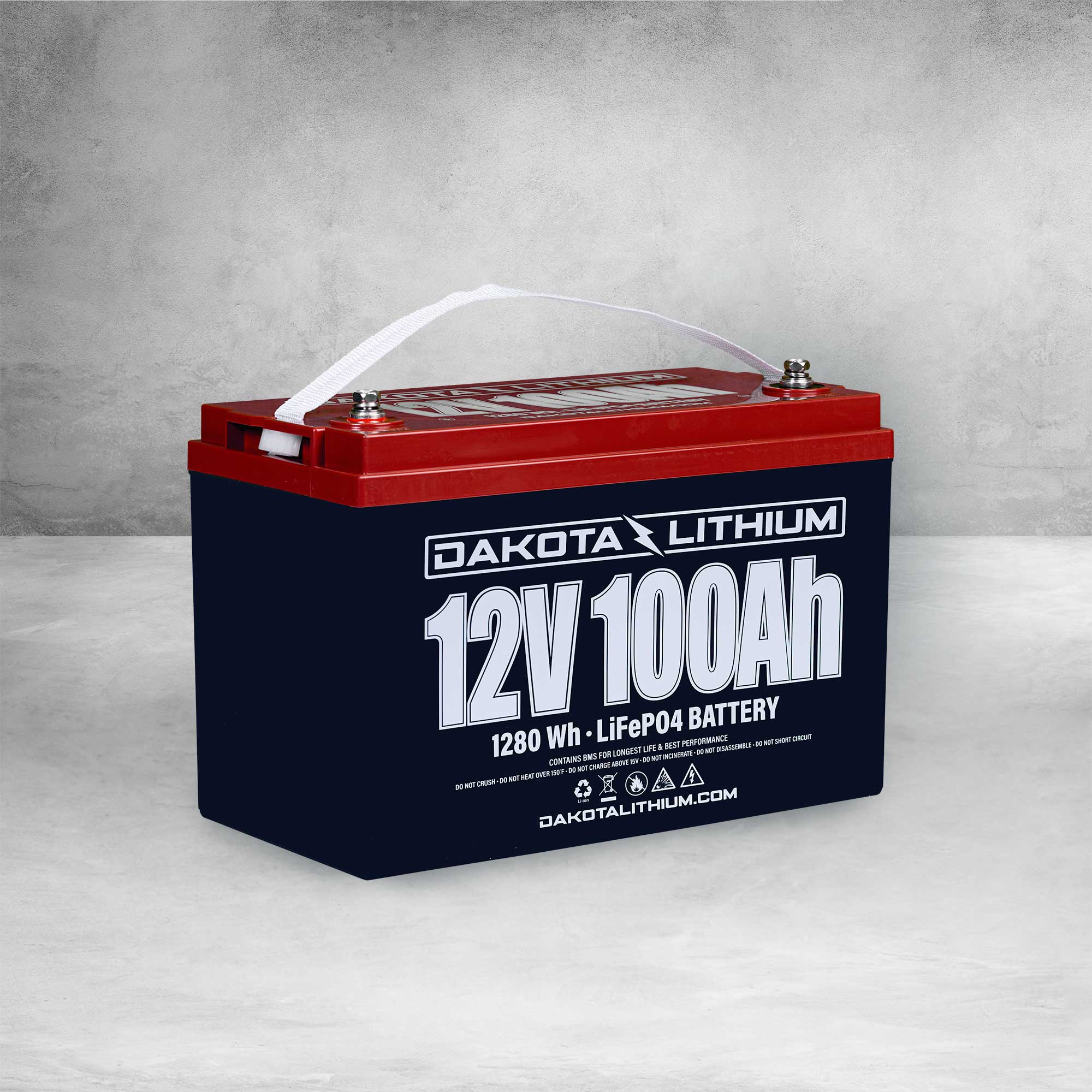 12v 100ah LiFePo 4 batteria al litio CAMPER-BARCA CARRELLO BATTERIA-Vega Power 