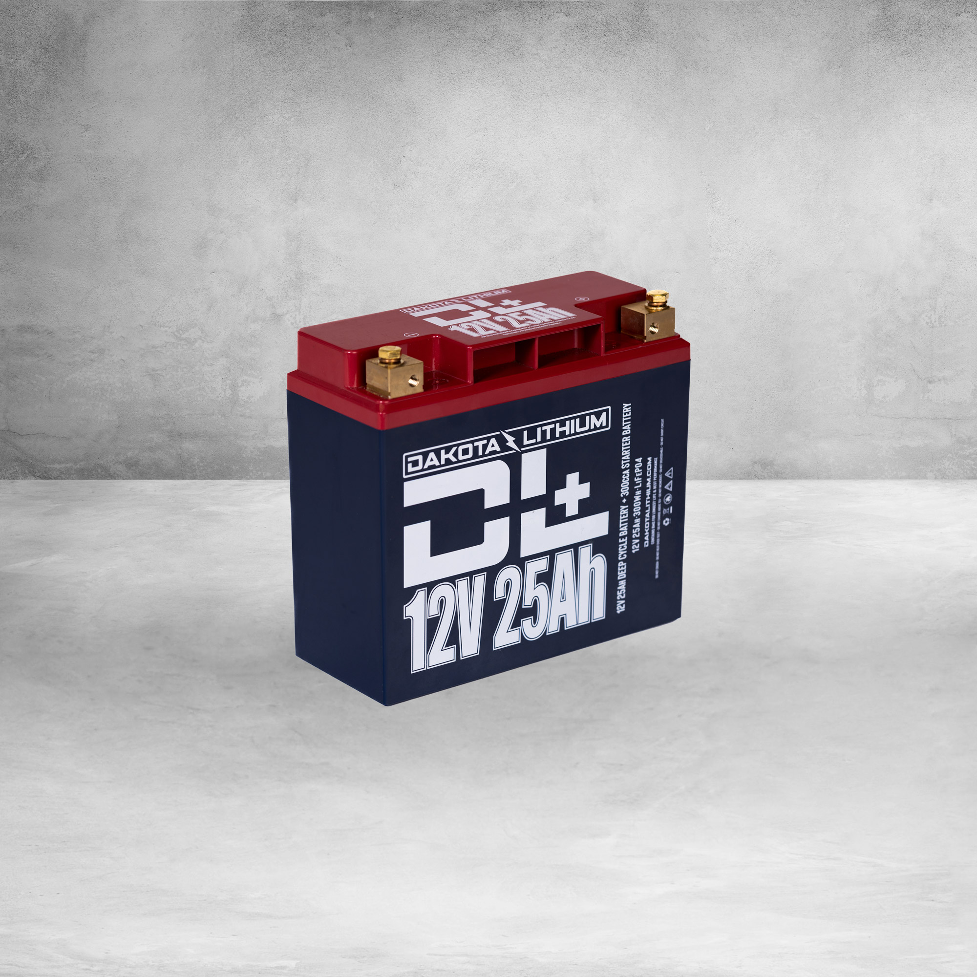 12V 60Ah LiFePO4 Battery Deep Cycle Lithium Iron Phosphate Battery Built-in  BMS Lightweight Maintenance-Free Perfect for RV/Camping, Solar/Backup