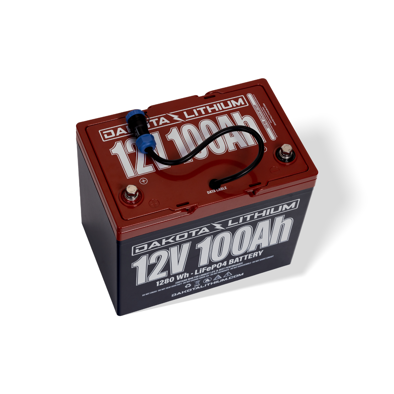 12v 100Ah LiFePO4 Battery with CAN Bus