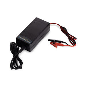 24V 5A LiFePO4 Battery Charger