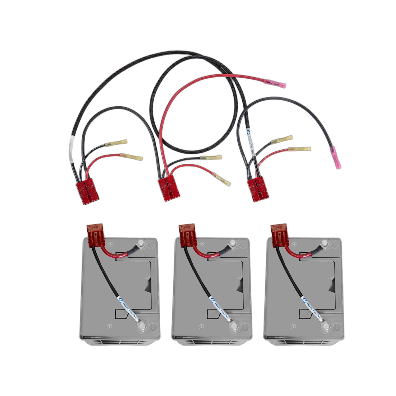 36V Series Trolling Motor w/Charger Kit for Separate Battery Compartments